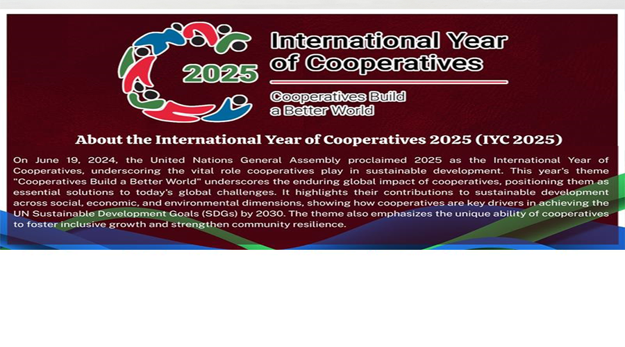 International Year of Cooperatives 2025